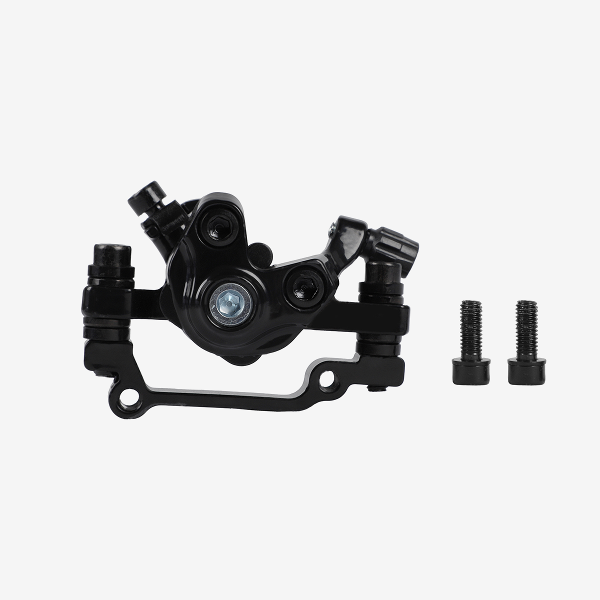 Rear brake caliper-B22