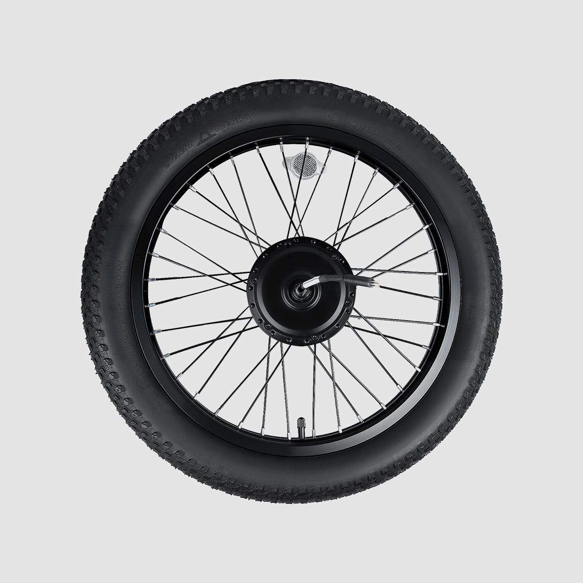 Motorwiel-E20