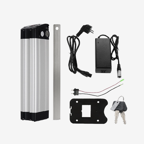 E-bike Pedelec accu 48 V 15 Ah voor 250 W fietsmotor