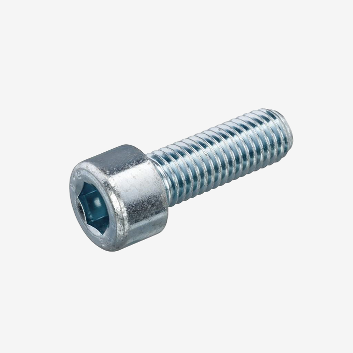 M5×10 Inbusbout met cilinderkop-B20