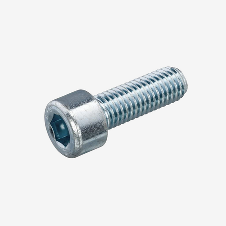 M6×10 Inbusbout met cilinderkop-B20