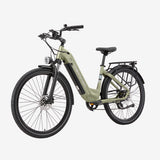Maxtron Marathon Elektrische Fiets Groen | 28×2.0 Inch Banden - 250W 36V 22,5Ah Accu - Actieradius tot 160 km