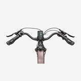 Maxtron Marathon Electric Bicycle Pink | 28×2.0 Inch Tires - 250W 36V 22.5Ah Battery - Range up to 160 km